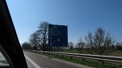 IMG 1302