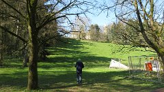 IMG 1361