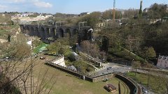 IMG 1419