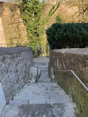 IMG 6086