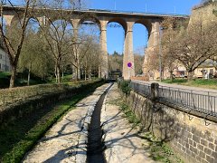 IMG 6101