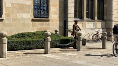 IMG 6137