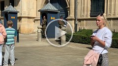 IMG 6139