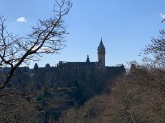 IMG 6146