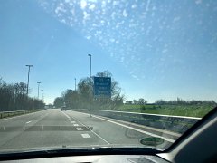 IMG 7351