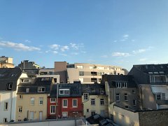 IMG 7405
