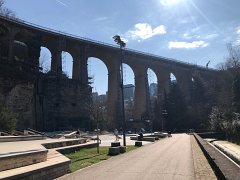 IMG 7422