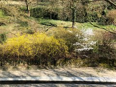 IMG 7423