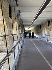 IMG 7428