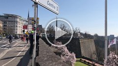 IMG 7436