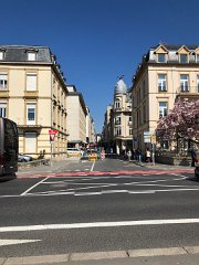 IMG 7437