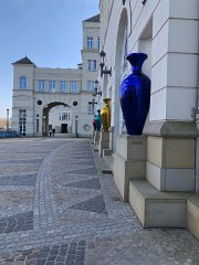 IMG 7446