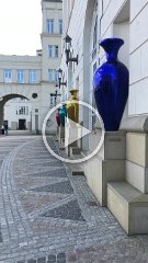 IMG 7447