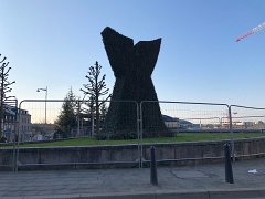 IMG 7457