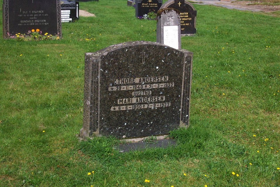 13 Glesne 3