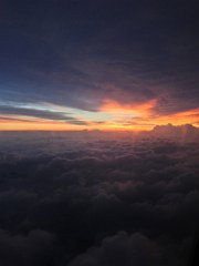 IMG 3126