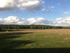 IMG 3155