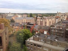 IMG 3186