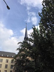 IMG 3248