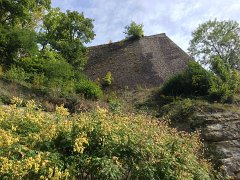 IMG 3287