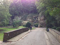 IMG 3293