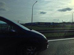 IMG 3356