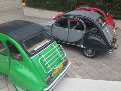 IMG 3423