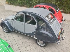 IMG 3425