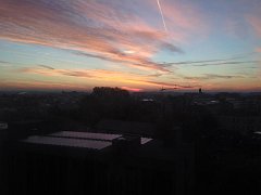 IMG 3461