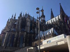 IMG 3516