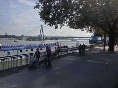 IMG 3574