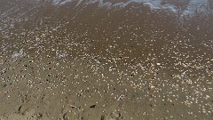 IMG 1586