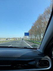 IMG 7646
