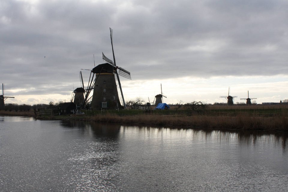 IMG 4941