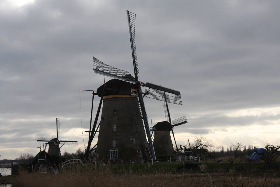 IMG 4945