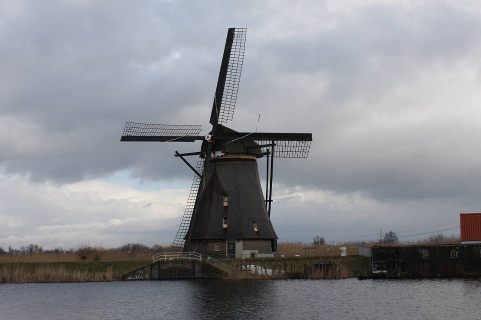 IMG 4947