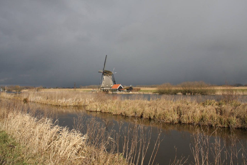 IMG 4961