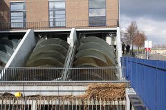 IMG 4933