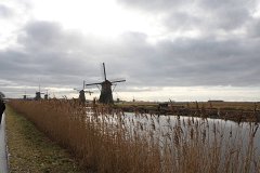 IMG 4935