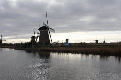 IMG 4941