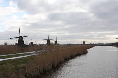 IMG 4942