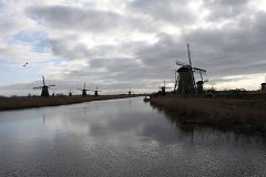 IMG 4944