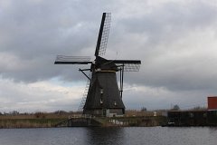 IMG 4947