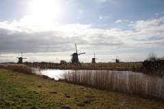 IMG 4951