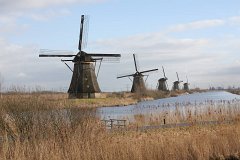 IMG 4954