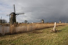 IMG 4959