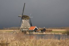IMG 4960