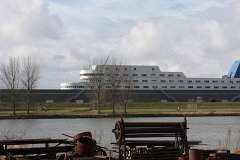IMG 4967