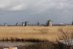 IMG 4970