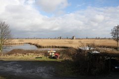 IMG 4971